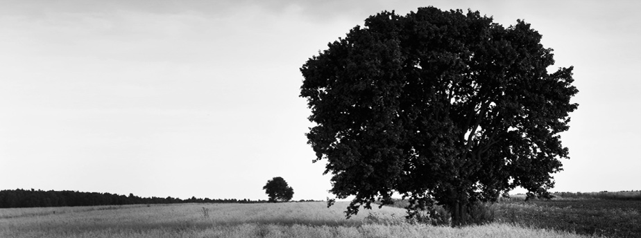 手机攻击器APP下载